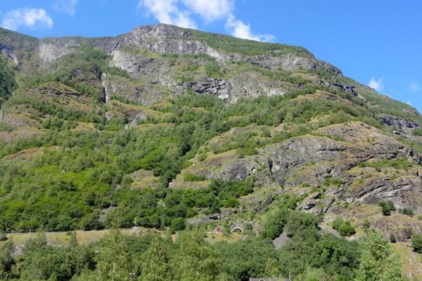 Кракен маркетплейс ассортимент