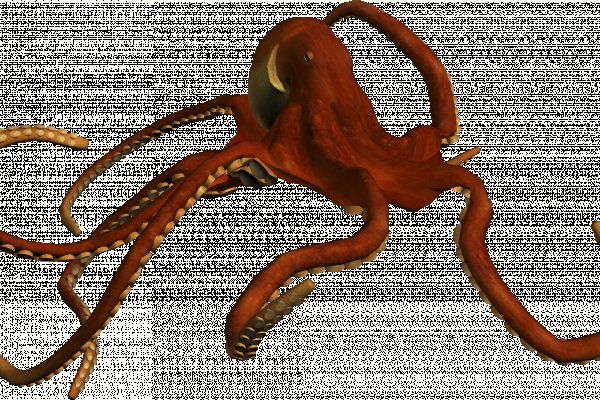 Кракен мониторинг ссылок kraken torion