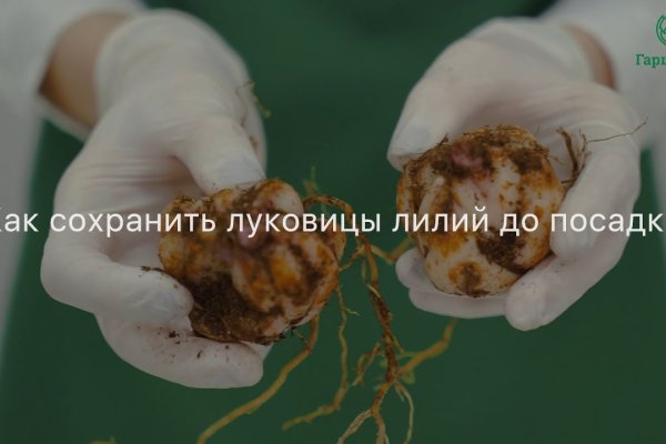 Рабочее зеркало кракен