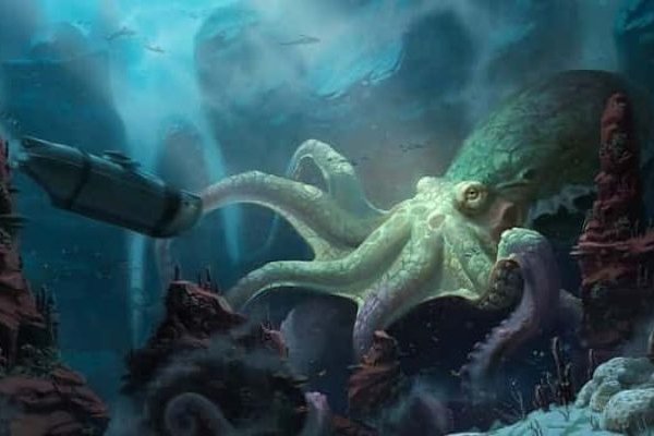 Kraken настоящая ссылка