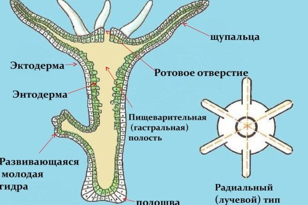 Kraken что это такое