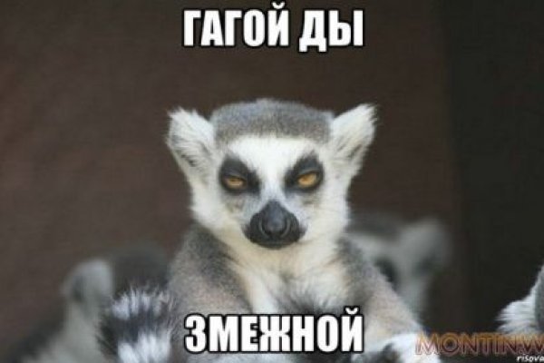 Как найти ссылку на кракен