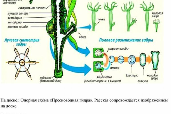 Как вывести деньги с kraken