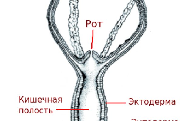 Кракен плейс
