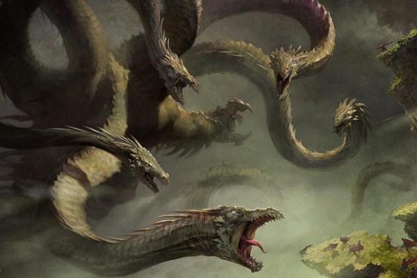 Kraken рынок