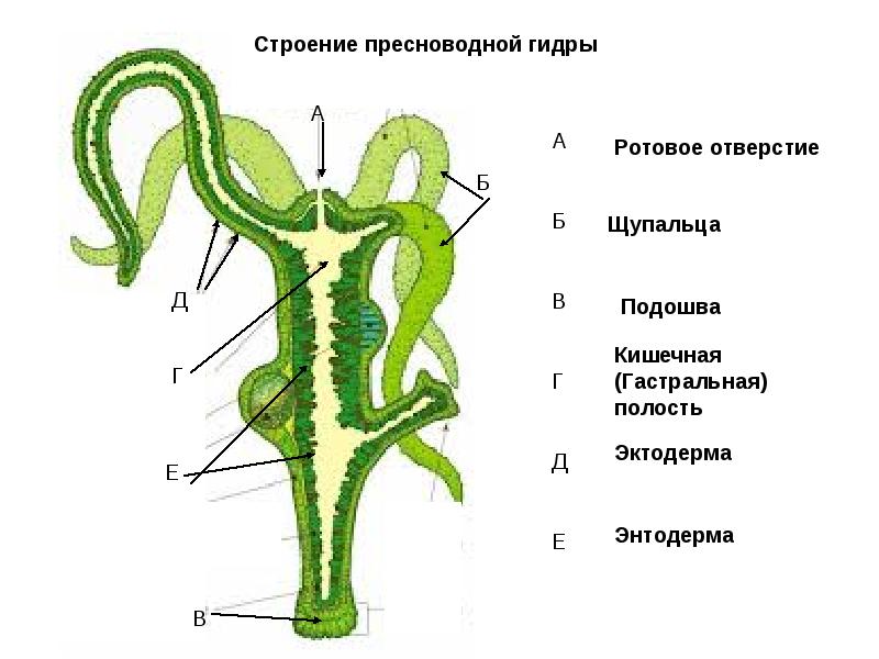 Что с кракеном сайт на сегодня