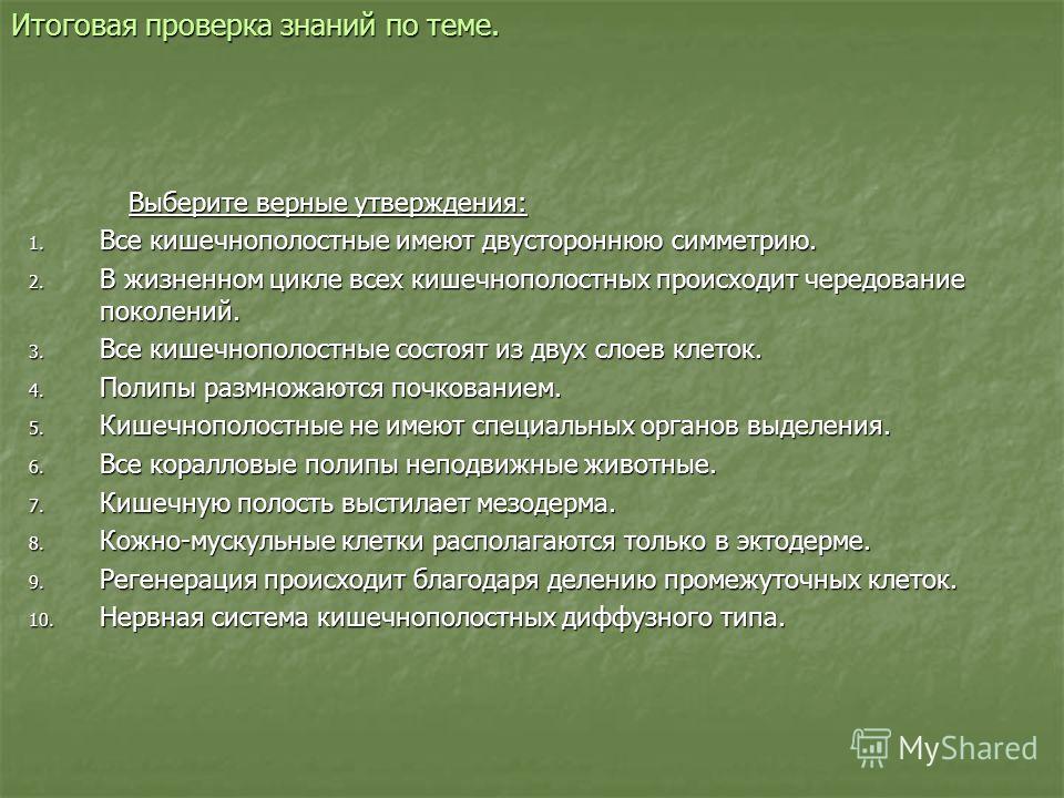 Не заходит на кракен